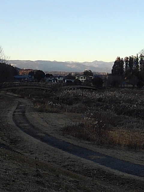 川崎城跡から見えた遠くの橋（1月5日）