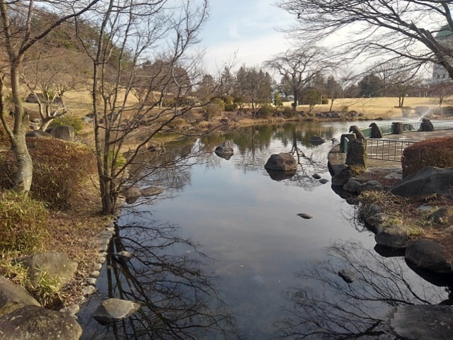 橋の上からの那須野が原公園の池（3月1日）