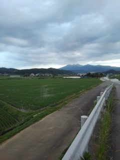 土手の道から見えた高原山と水田地帯（6月18日）