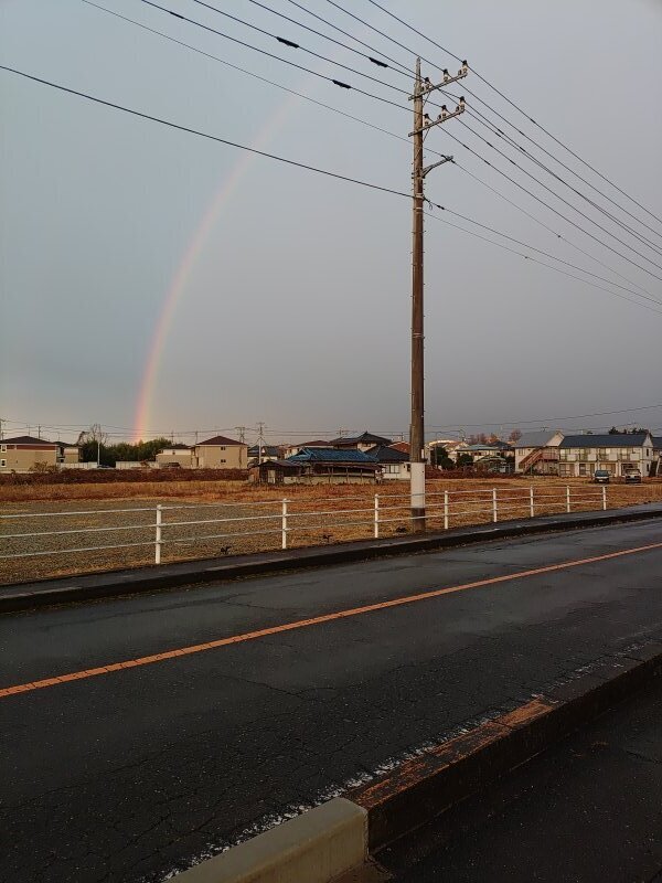 歩道から見えた虹（12月15日）.