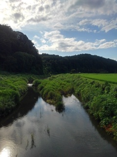 映り込みの川と奥に見える森（7月20日）