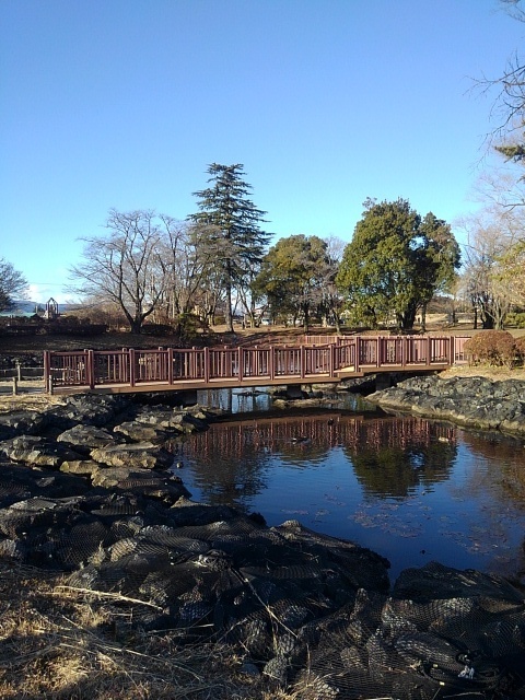 池の橋と映り込み（1月1日）