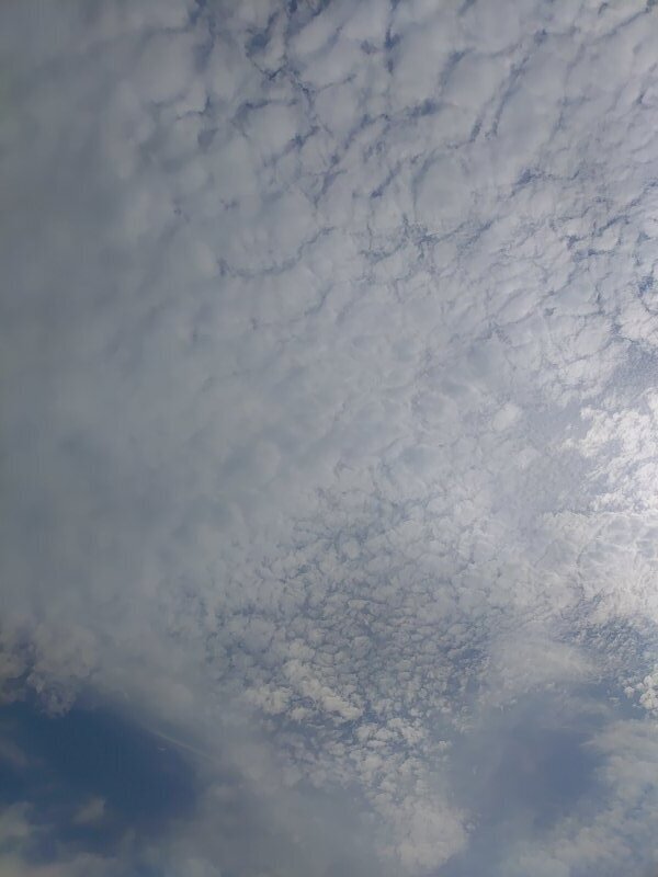 鱗雲（8月29日）