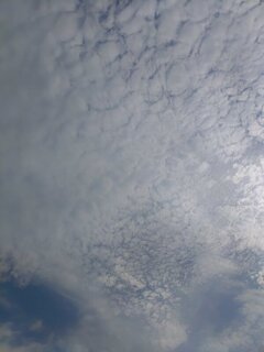 鱗雲（8月29日）