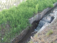用水路（5月28日）