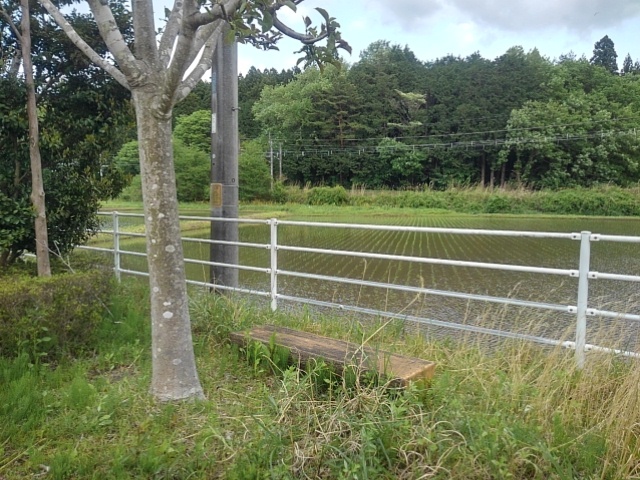 水田の近くにあるベンチ（5月7日）