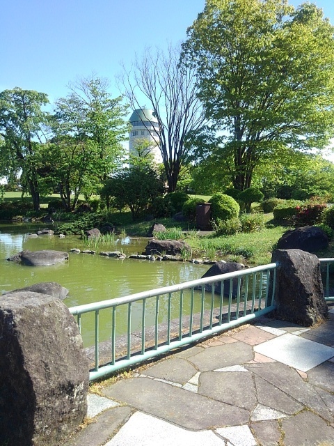 那須野が原公園の池の歩道（5月2日）