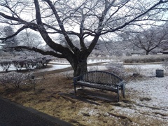長峰公園のベンチ（2月8日）