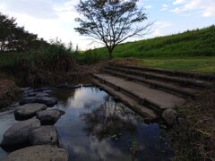 飛び石のある小川（8月19日）