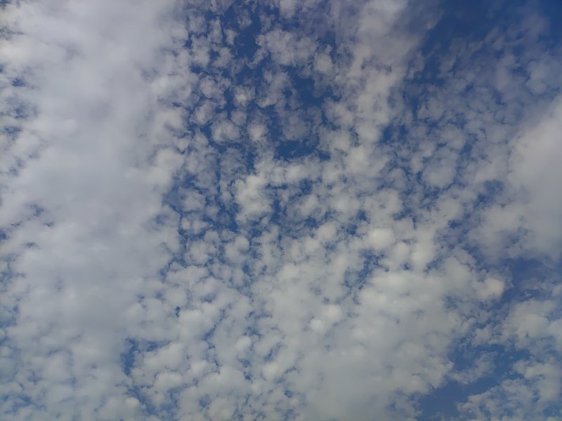 鱗雲（9月16日）
