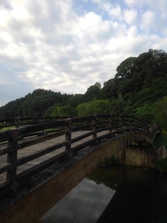 ともなり橋と周りの美景（6月19日）