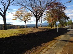 矢板運動公園の紅葉（11月19日）