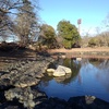 長峰公園の映り込みの池（1月1日）