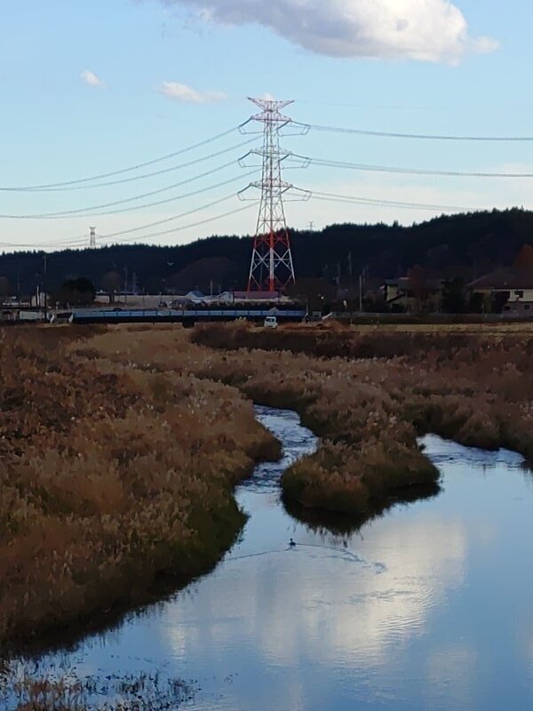 川と鉄塔（12月10日）