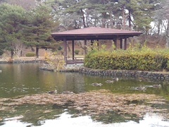 烏ヶ森公園の池の休憩所（12月7日）