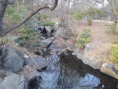 小川（3月1日）