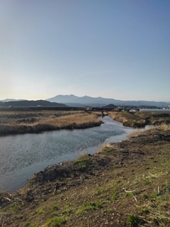 土手から見えた川（3月26日）