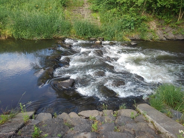 力強い水飛沫（5月29日）