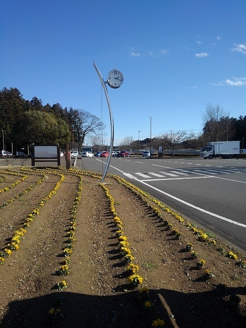 道の駅のパンジー花壇と時計台（3月2日）