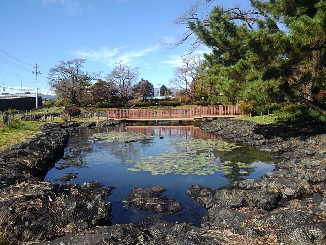 長峰公園の映り込みが綺麗な池と橋（11月9日）