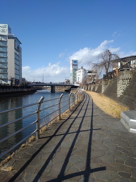 ベンチもある歩道（2月7日）