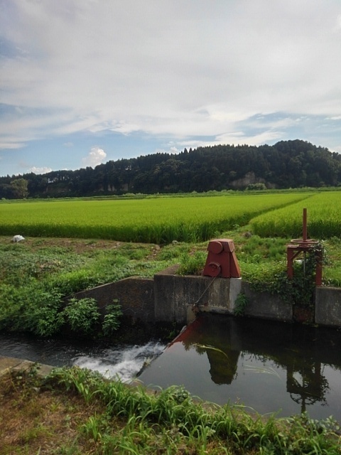 用水路と水田と岩山（8月7日）