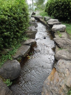 烏ヶ森公園の人工の小川（8月10日）