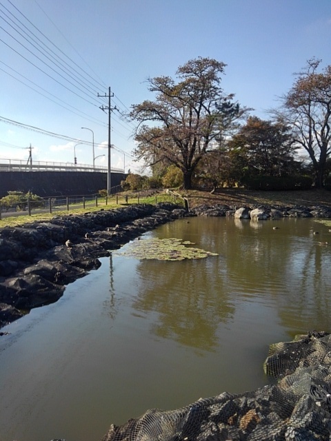 鏡の池（11月1日）