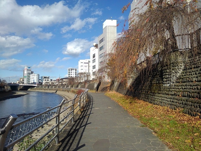落ち葉もある川沿いの歩道（12月6日）