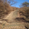 長峰公園の丘の上り階段（1月1日）