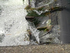 水飛沫（7月26日）