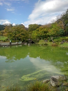 那須野が原公園の鏡のような池（10月14日）