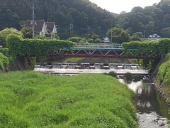 珍しい形の橋（6月29日）