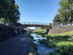 美原公園の奥に見える橋（9月24日）