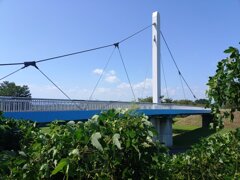 ゆうゆうパークの丘の白い陸橋と緑の葉（8月30日）