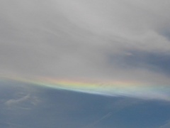 彩雲（7月19日）