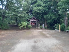 鳥居のある丘の広場（6月21日）