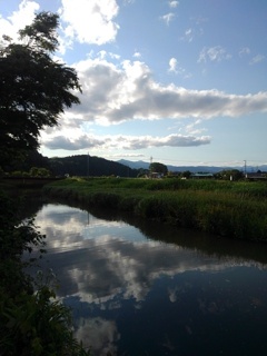 映り込みが綺麗な川（6月5日）