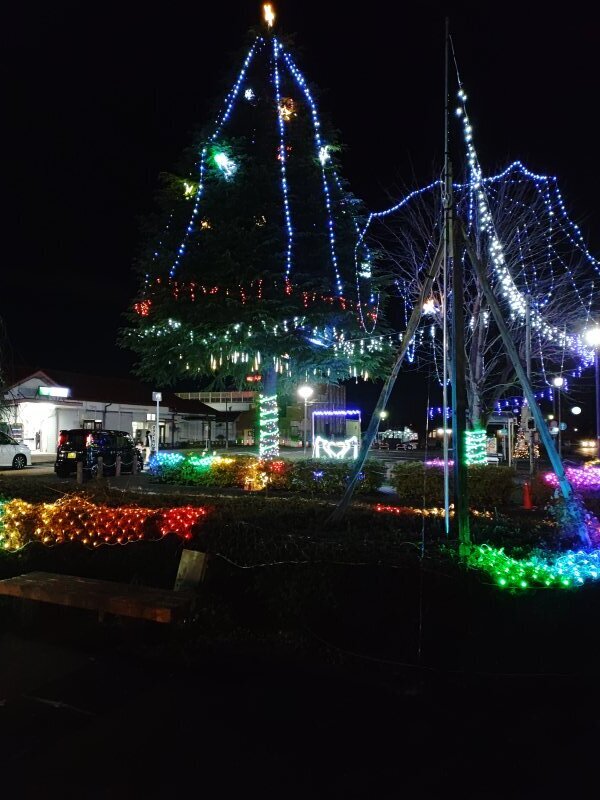 カラフルツリー（12月5日）