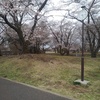 桜と時計台（4月5日）