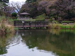 休憩所と橋とベンチの共演（10月22日）