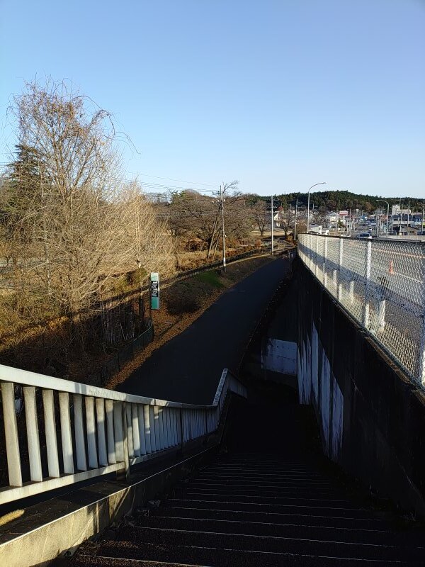 下り階段からの眺め（12月13日）