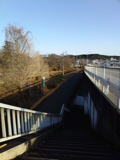 下り階段からの眺め（12月13日）