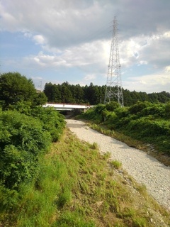 橋と鉄塔と水のない川（6月28日）