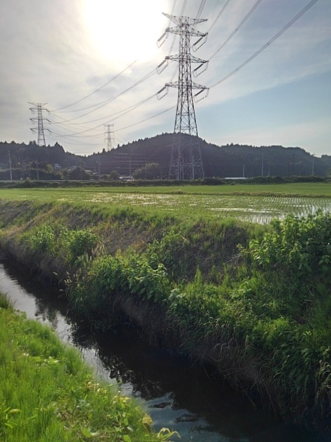 鉄塔と用水路（5月22日）