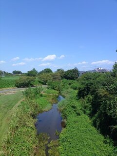 高所からの小川（8月30日）