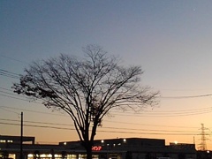 夕暮れの街（11月25日）