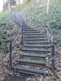川崎城跡の丘の入口の階段（1月5日）