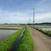 用水路と道路と電柱（5月11日）
