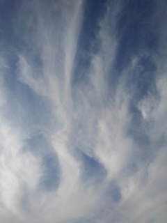 沸き立つ雲（1月20日）